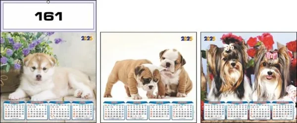 CALENDÁRIO 2025 SERIE 160 - Image 2