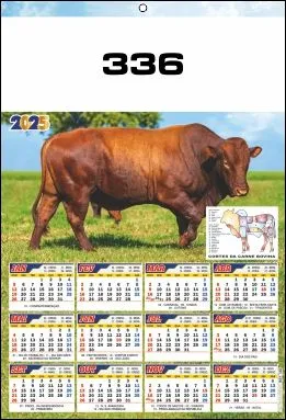 CALENDÁRIO 2025 SERIE 330 - Imagem 7