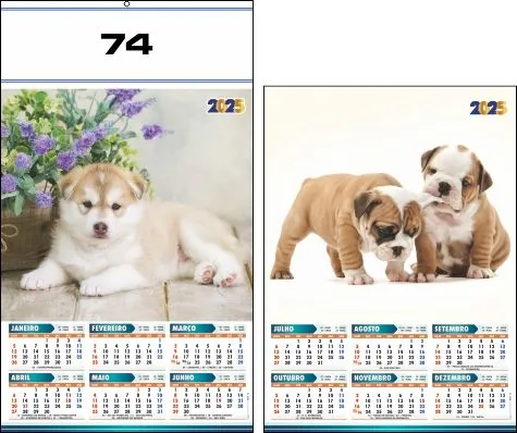 CALENDÁRIO 2025 SERIE 70 - Imagem 5