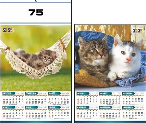 CALENDÁRIO 2025 SERIE 70 - Imagem 6