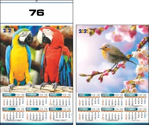 CALENDÁRIO 2025 SERIE 70 - Imagem 7