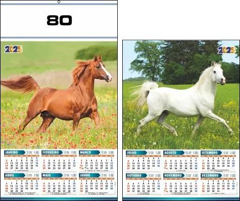 CALENDÁRIO 2025 SERIE 70 - Imagem 11