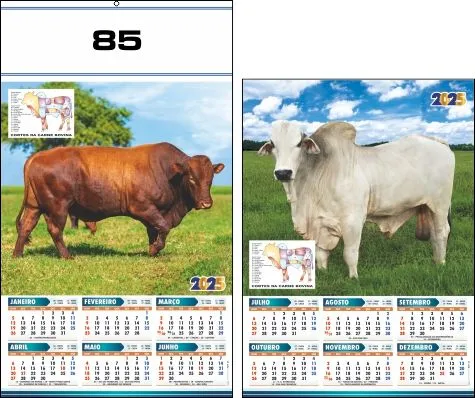 CALENDÁRIO 2025 SERIE 70 - Imagem 16