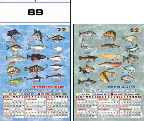CALENDÁRIO 2025 SERIE 70 - Imagem 18
